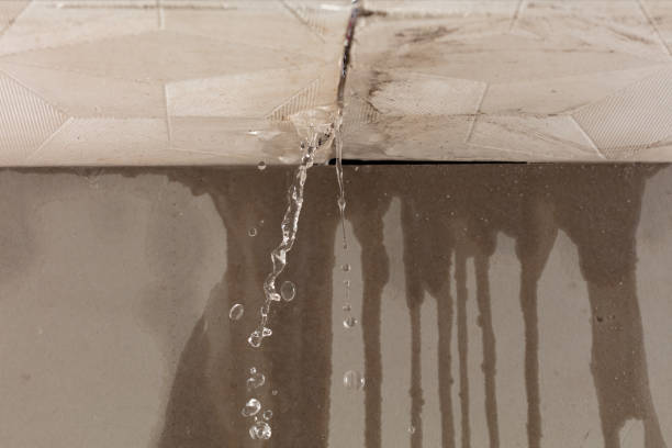 Professional Burst Pipe Cleanup technician working in Milford, MI